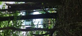 Enlarge photo 38
