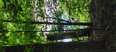 Enlarge photo 37