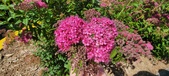 Enlarge photo 182