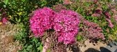 Enlarge photo 181