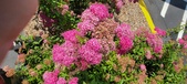 Enlarge photo 176