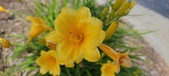Enlarge photo 172