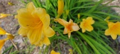 Enlarge photo 173