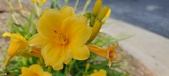 Enlarge photo 174
