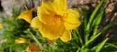 Enlarge photo 170