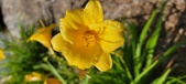 Enlarge photo 169