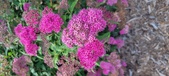 Enlarge photo 168