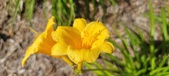 Enlarge photo 164