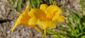 Enlarge photo 166