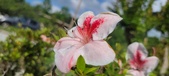 Enlarge photo 156