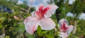 Enlarge photo 157