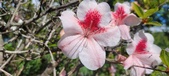 Enlarge photo 154