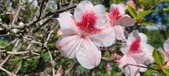 Enlarge photo 153
