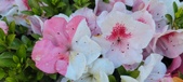 Enlarge photo 148