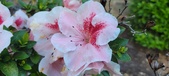 Enlarge photo 150
