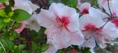 Enlarge photo 143