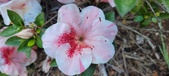Enlarge photo 142