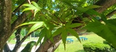 Enlarge photo 139