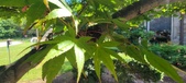 Enlarge photo 138