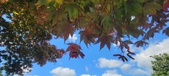 Enlarge photo 134