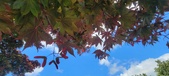 Enlarge photo 130