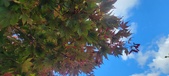 Enlarge photo 132