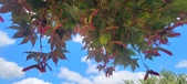 Enlarge photo 133