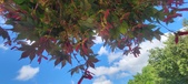 Enlarge photo 129