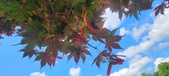 Enlarge photo 128