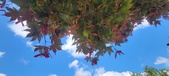 Enlarge photo 126