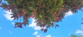 Enlarge photo 125