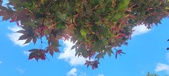 Enlarge photo 124