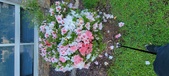 Enlarge photo 123