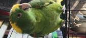 Enlarge photo 129