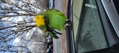 Enlarge photo 125