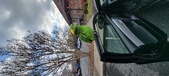 Enlarge photo 124