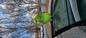 Enlarge photo 123