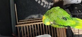 Enlarge photo 106