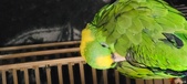 Enlarge photo 104