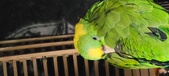 Enlarge photo 102