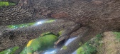 Enlarge photo 42