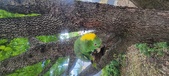 Enlarge photo 43