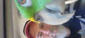Enlarge photo 17