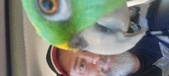 Enlarge photo 18
