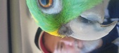 Enlarge photo 19