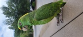Enlarge photo 46