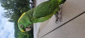 Enlarge photo 47