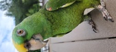 Enlarge photo 44