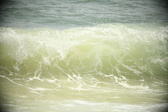Enlarge photo 43