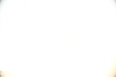 Enlarge photo 96